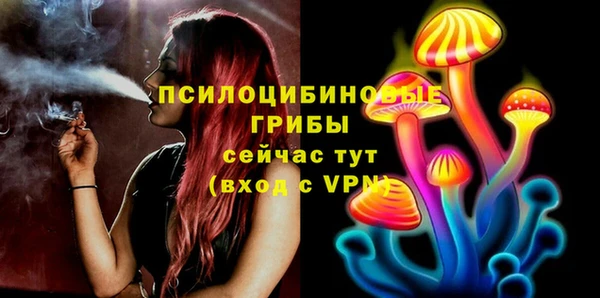 тгк Беломорск