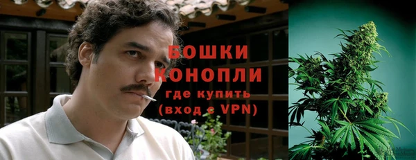 гашик Белоозёрский