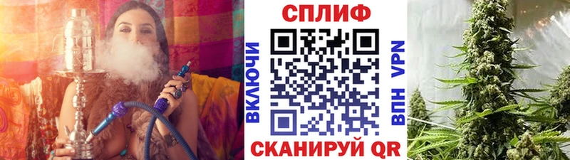 сколько стоит  Шелехов  Конопля семена 
